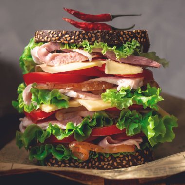 Büyük sulu sandviç gazetesi. Tonda hipster fotoğraf, kare.