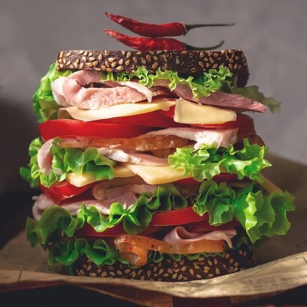 Büyük sulu sandviç gazetesi. Tonda hipster fotoğraf, kare.