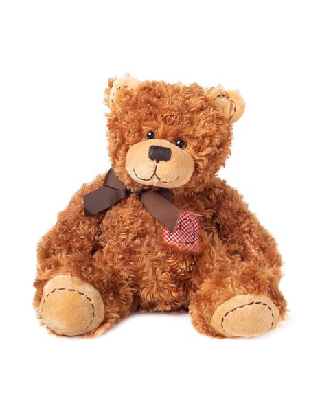 Brown Teddy bear with a bow and heart