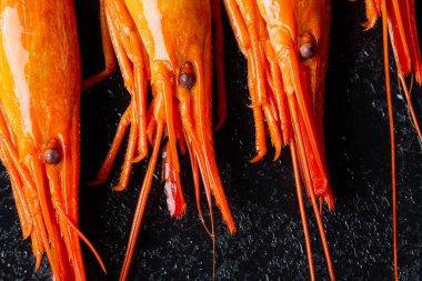 Islak bir taş zemin üzerine bir kabuk karides