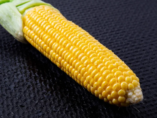 Ripe Corn Black Background — Stock Photo, Image