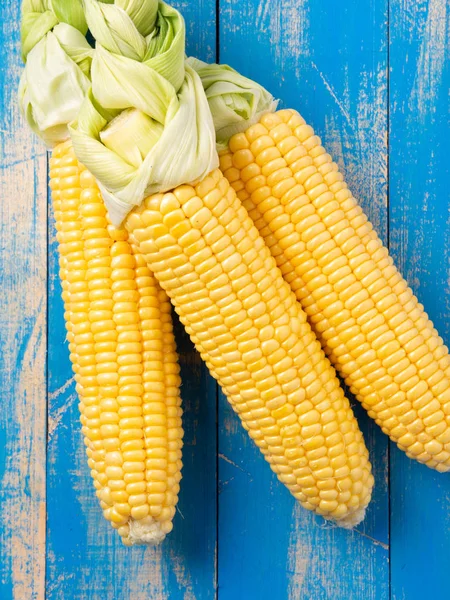 Olgun Mısır mavi kurullarında, dikey