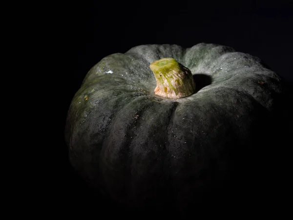 Big Green Pumpkin Dark — Stock Photo, Image
