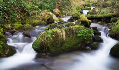Gondomar, gizli hazineler Gondomar farklı görünümlerde