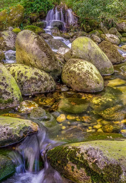 Nyugodt kaszkád és nyugalom a folyóparton — Stock Fotó