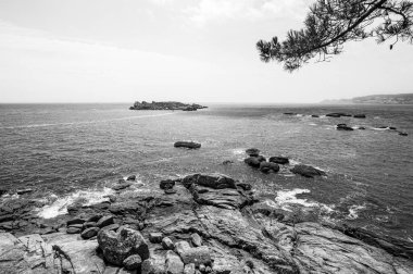 Siyah beyaz inmensity