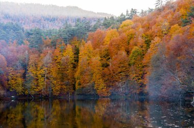 Yedigoller Ulusal Parkı, Sonbahar manzarası. Bolu, Türkiye