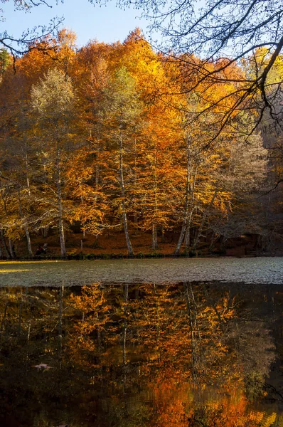 Yedigoller国家公园 秋天的风景 土耳其Bolu — 图库照片