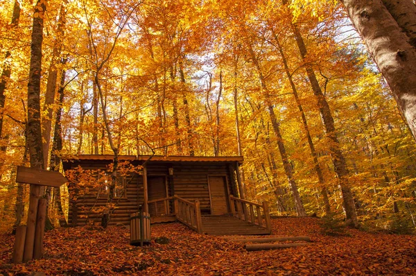 Yedigoller Nationalpark Höstutsikt Bolu Turkiet — Stockfoto