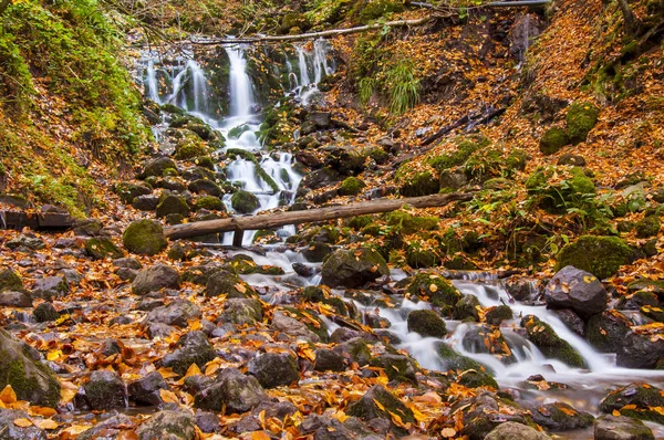 Yedigoller National Park Autumn Views Bolu Turkey — Stock Photo, Image