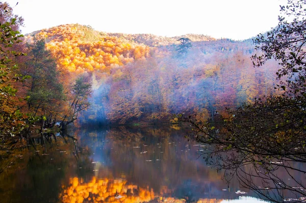 Yedigoller National Park Vista Para Outono Paisagem Nebulosa Bolu Turquia — Fotografia de Stock