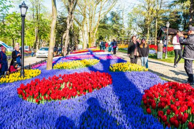 ISTANBUL, TURKEY - APRIL 10, 2019: Istanbul Tulip Festival in Emirgan Park. Colorful tulips in the garden. Istanbul, Turkey. clipart