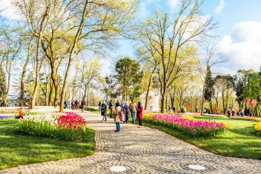 İstanbul, Türkiye - 10 Nisan 2019: Emirgan Parkı'nda İstanbul Lale Festivali. Bahçede renkli laleler. İstanbul, Türkiye.