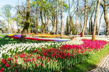 İstanbul, Türkiye - 10 Nisan 2019: Emirgan Parkı'nda İstanbul Lale Festivali. Bahçede renkli laleler. İstanbul, Türkiye.