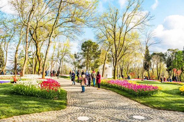 İstanbul, Türkiye - 10 Nisan 2019: Emirgan Parkı'nda İstanbul Lale Festivali. Bahçede renkli laleler. İstanbul, Türkiye.
