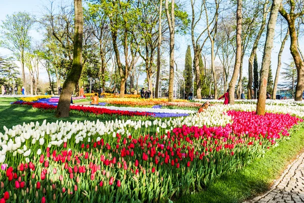 Стамбул Туркей Апреля 2019 Года Стамбульский Фестиваль Тюльпанов Парке Эмирган — стоковое фото