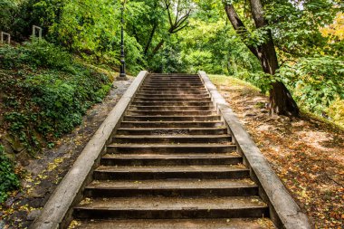 Budapeşte 'de ormanda beton yol
