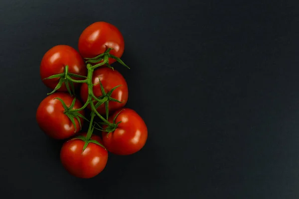 Tomates Frescos Com Folhas Verdes Isoladas Travessas Pretas — Fotografia de Stock