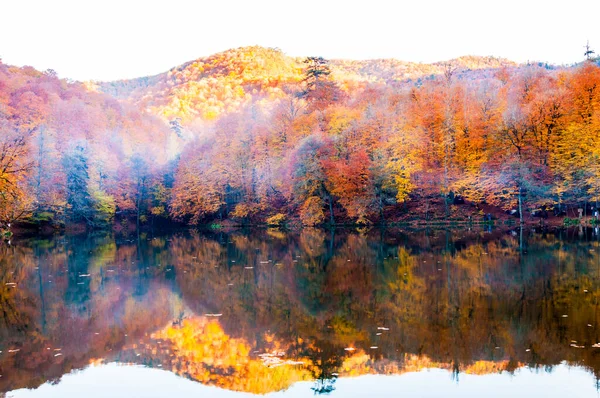 Yedigoller Ulusal Parkı, Sonbahar manzarası. Bolu, Türk.