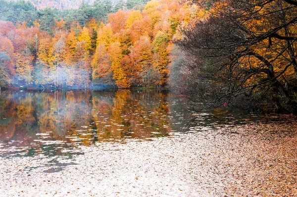 Yedigoller Ulusal Parkı Sonbahar Manzarası Bolu Türk — Stok fotoğraf