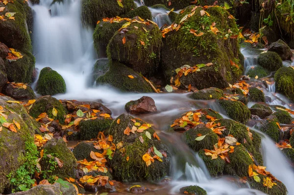 Yedigoller National Park Autumn Views Bolu Turkey — Stock Photo, Image