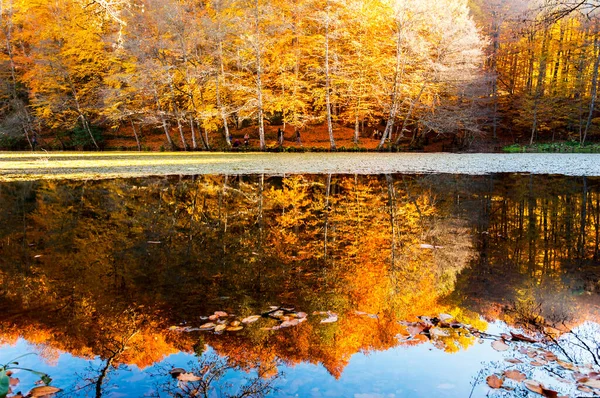 Yedigoller Ulusal Parkı Sonbahar Manzarası Bolu Türk — Stok fotoğraf