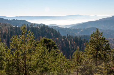 Bolu, Türkiye 'de sisli bir manzara. Dağda sonbahar.