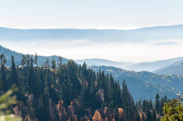 Foggy landscape in Bolu, Turkey. Autumn in mountain.