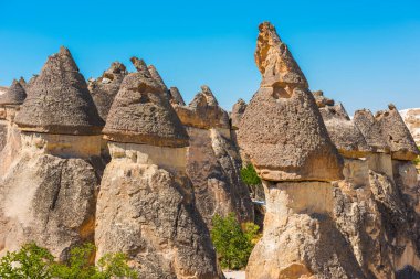 Peri bacaları ve mantar kayası olan Pasabagram Keşiş Vadisi. Mantar şekilli taşlarıyla bilinir. Kapadokya, Nevsehir, Türkiye.