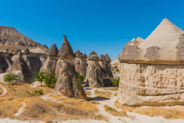 Peri bacaları ve mantar kayası olan Pasabagram Keşiş Vadisi. Mantar şekilli taşlarıyla bilinir. Kapadokya, Nevsehir, Türkiye.