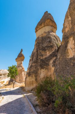 Peri bacaları ve mantar kayası olan Pasabagram Keşiş Vadisi. Mantar şekilli taşlarıyla bilinir. Kapadokya, Nevsehir, Türkiye.