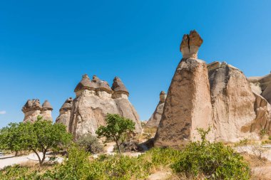 Peri bacaları ve mantar kayası olan Pasabagram Keşiş Vadisi. Mantar şekilli taşlarıyla bilinir. Kapadokya, Nevsehir, Türkiye.