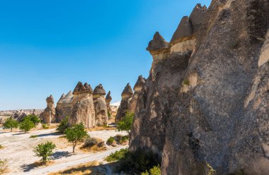 Peri bacaları ve mantar kayası olan Pasabagram Keşiş Vadisi. Mantar şekilli taşlarıyla bilinir. Kapadokya, Nevsehir, Türkiye.
