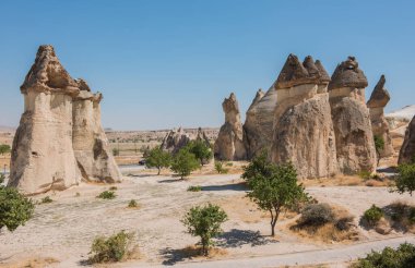 Peri bacalı Pasabg Monks Vadisi. Mantar şekilli taşlarıyla bilinir. Kapadokya, Nevsehir, Türkiye.