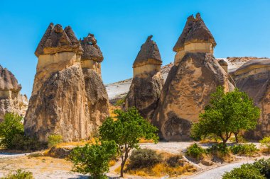 Peri bacalı Pasabg Monks Vadisi. Mantar şekilli taşlarıyla bilinir. Kapadokya, Nevsehir, Türkiye.