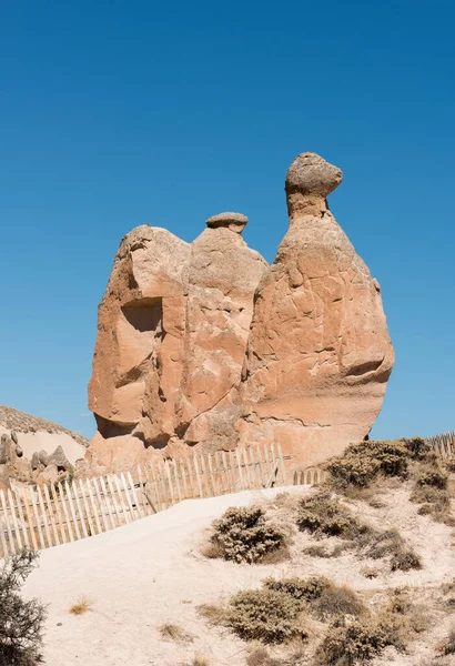 Camel Rock Devrent Imagination Valley Cappadocia Goreme Turkey Landscape Natural — Stock Photo, Image