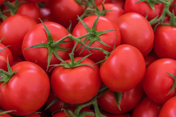 Tomates Orgânicos Bonito Tomate Vermelho Fresco — Fotografia de Stock