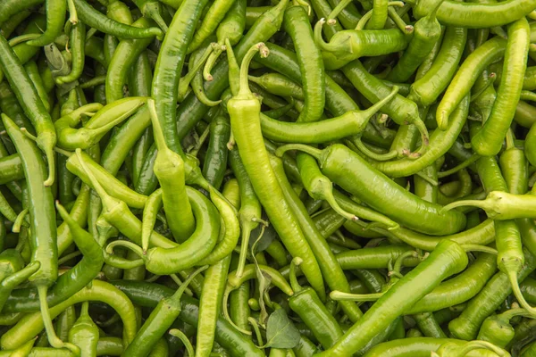 Green hot pepper. organic green pepper