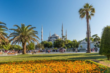 İstanbul, Türkiye 'deki Mavi Cami (Sultanahmet Camii).