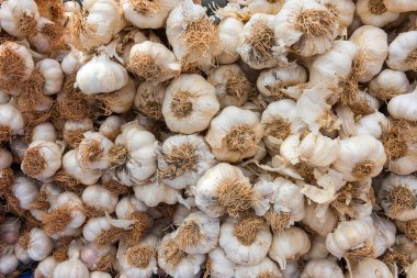 Sarımsak. Piyasada organik sarımsak.