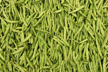 Yeşil fasulye. Piyasada taze organik fasulye.