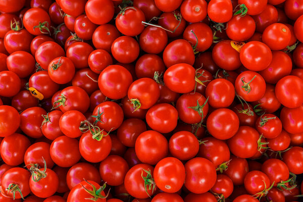 Organic Tomatoes. Fresh organic tomatoes on market.