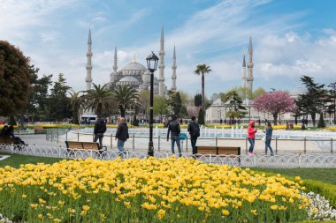 İSTANBUL, TURKEY - 8 Nisan 2017: Sultahahmet Meydanı 'nda lale Festivali. İstanbul, Türkiye 'deki laleler ve Mavi Cami.