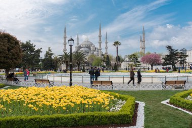 İSTANBUL, TURKEY - 8 Nisan 2017: Sultahahmet Meydanı 'nda lale Festivali. İstanbul, Türkiye 'deki laleler ve Mavi Cami.