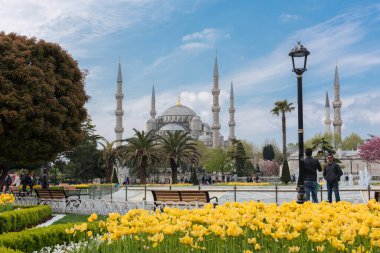 İSTANBUL, TURKEY - 8 Nisan 2017: Sultahahmet Meydanı 'nda lale Festivali. İstanbul, Türkiye 'deki laleler ve Mavi Cami.