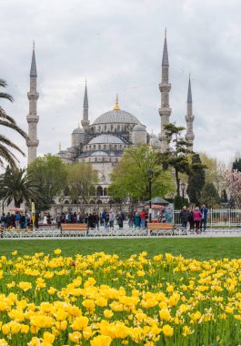 İSTANBUL, TURKEY - 8 Nisan 2017: Sultahahmet Meydanı 'nda lale Festivali. İstanbul, Türkiye 'deki laleler ve Mavi Cami.