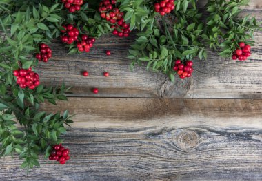 Kırmızı Böğürtlen Kokina Çiçeği ile Noel arkaplanı.