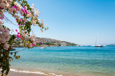 BODRUM, MUGLA, TURKEY 'deki kumsal manzarası. Begonvil çiçekli güzel deniz manzarası.