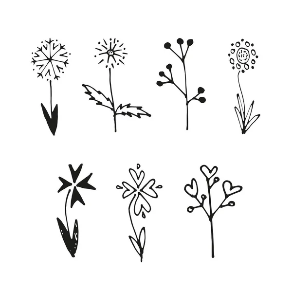 Illustration de fleurs vectorielles, collection florale dessinée à la main sur fond blanc — Image vectorielle