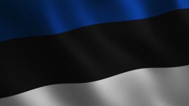 Estonya bayrağı sallayarak 3D. Arka plan. Animasyon döngüsü. Hareketli grafikler